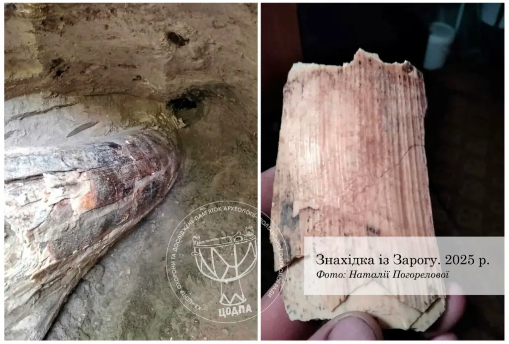 На Полтавщині виявили новий фрагмент бивня мамонта: Оржиччина знову дивує палеонтологів