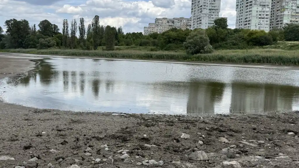 У Полтаві намагаються врятувати Пушкарівський ставок, що зникає на очах