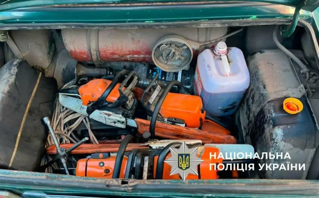 На Полтавщині викрили організовану схему незаконної вирубки: збитки громадам перевищили 4,3 млн грн