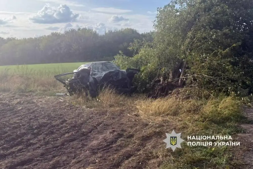 На Полтавщині легковий автомобіль злетів з дороги та врізався в дерево: водія ушпиталили
