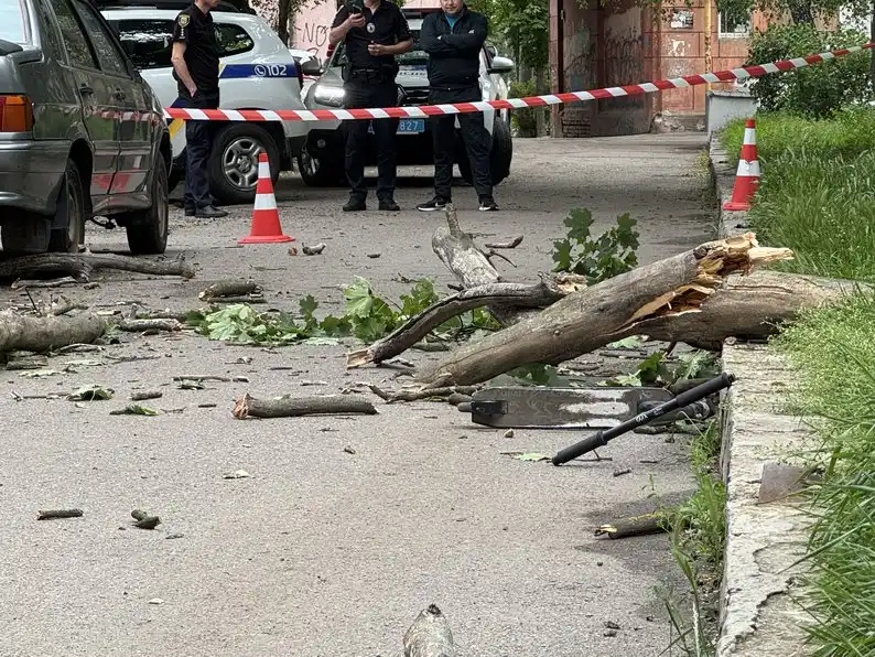 У Полтаві 9-річний хлопчик, на якого впало дерево, вийшов з коми: мама розповіла про стан дитини