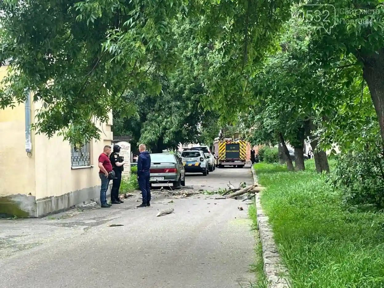 У Полтаві вийшов з коми 9-річний хлопчик, на якого впало дерево