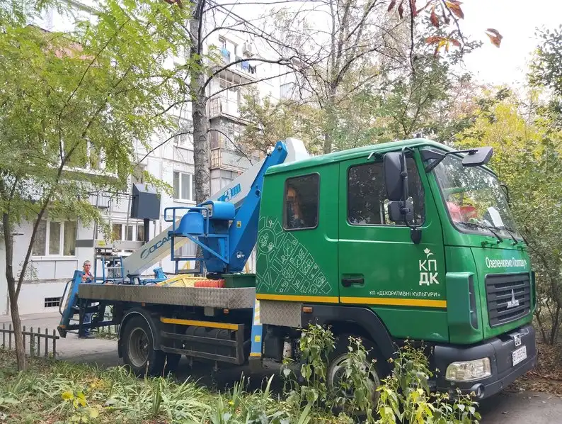 У Полтаві прискорили спилювання аварійних дерев після інциденту з травмуванням дитини