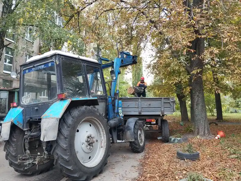 У Полтаві прискорили спилювання аварійних дерев після інциденту з травмуванням дитини