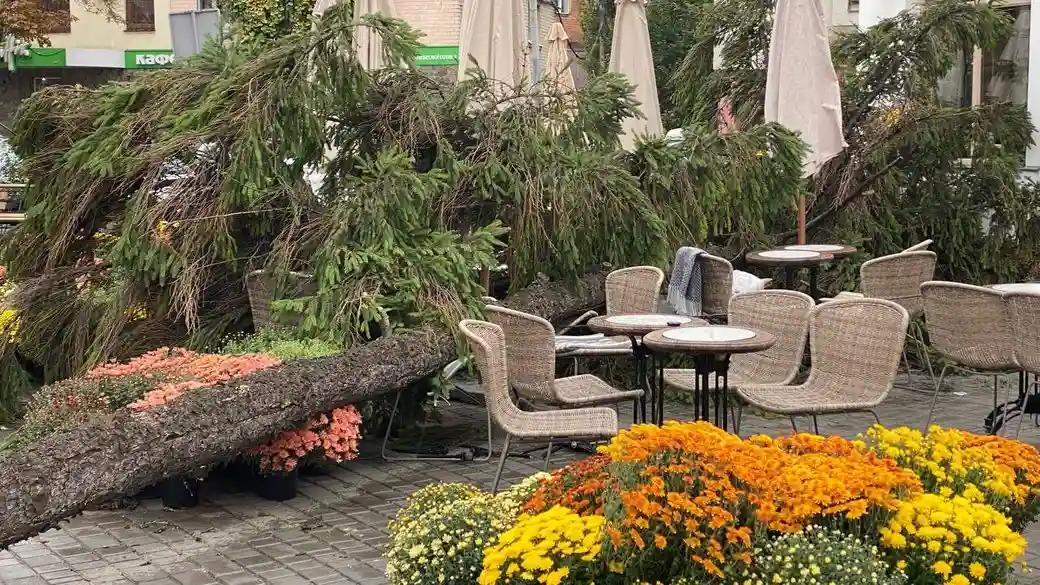 У справі про падіння дерева на жінку в полтавській кавʼярні слідчі вилучили документи міськради
