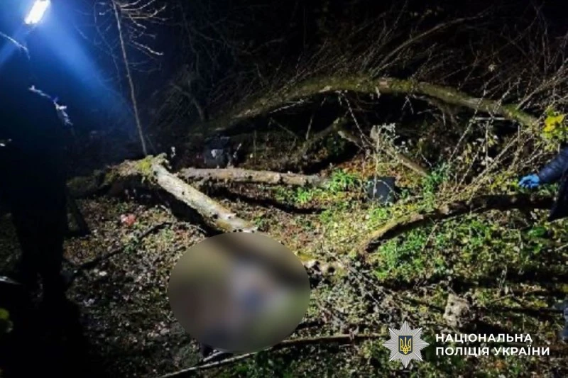 На Полтавщині у лісопосадці знайшли тіло чоловіка: поліція проводить розслідування
