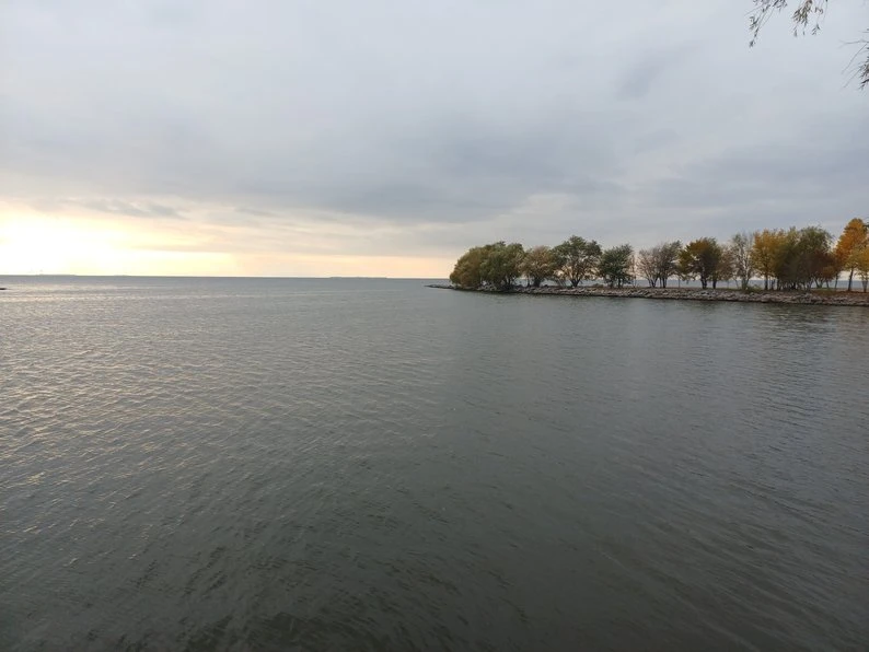 На Полтавщині міліє Кременчуцьке водосховище: експерти пояснили причини