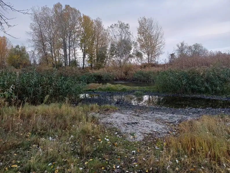 На Полтавщині міліє Кременчуцьке водосховище: експерти пояснили причини