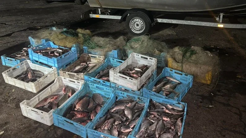 На Полтавщині у Сулинському заказнику знайшли сітки з рибою на понад 1,6 мільйона гривень збитків
