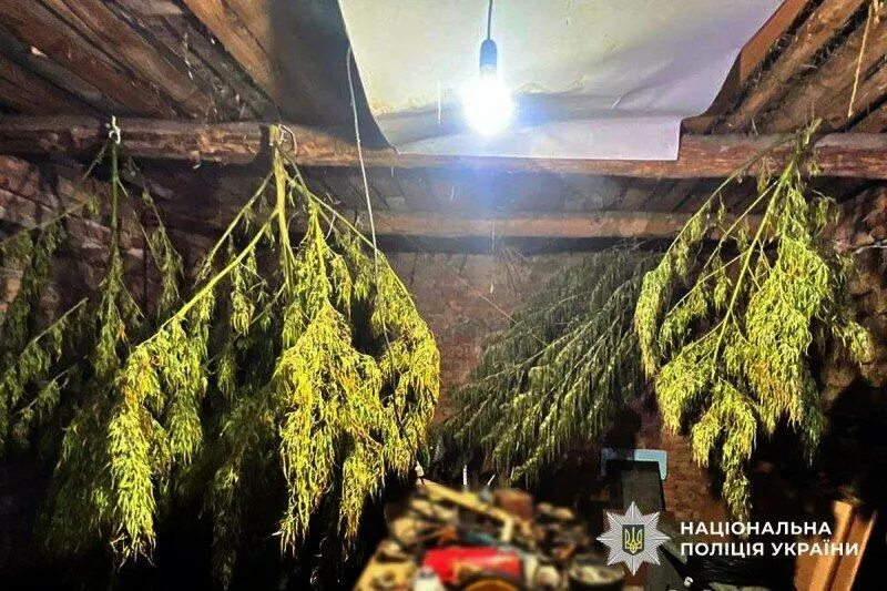 У помешканні жителя Оржицької громади знайшли майже шість кілограмів наркотиків