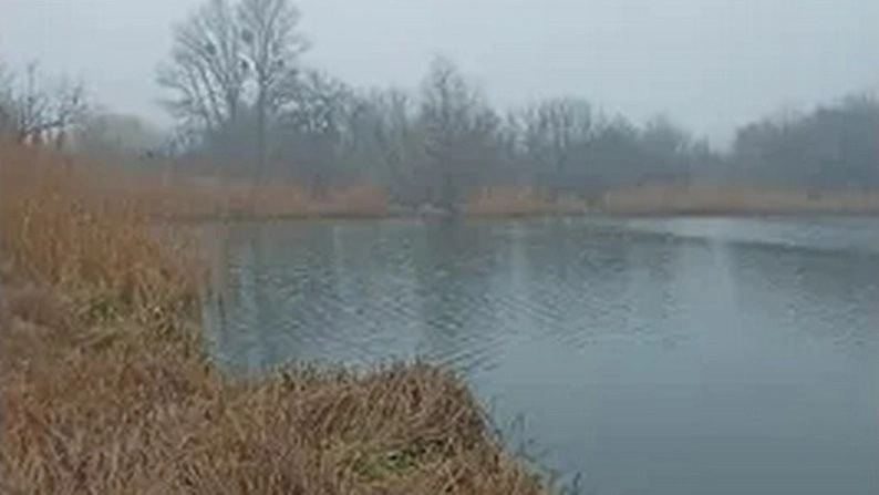Полтава виставила ставок з ділянкою на аукціон: п’ятирічна оренда стартує від 423 тисяч гривень