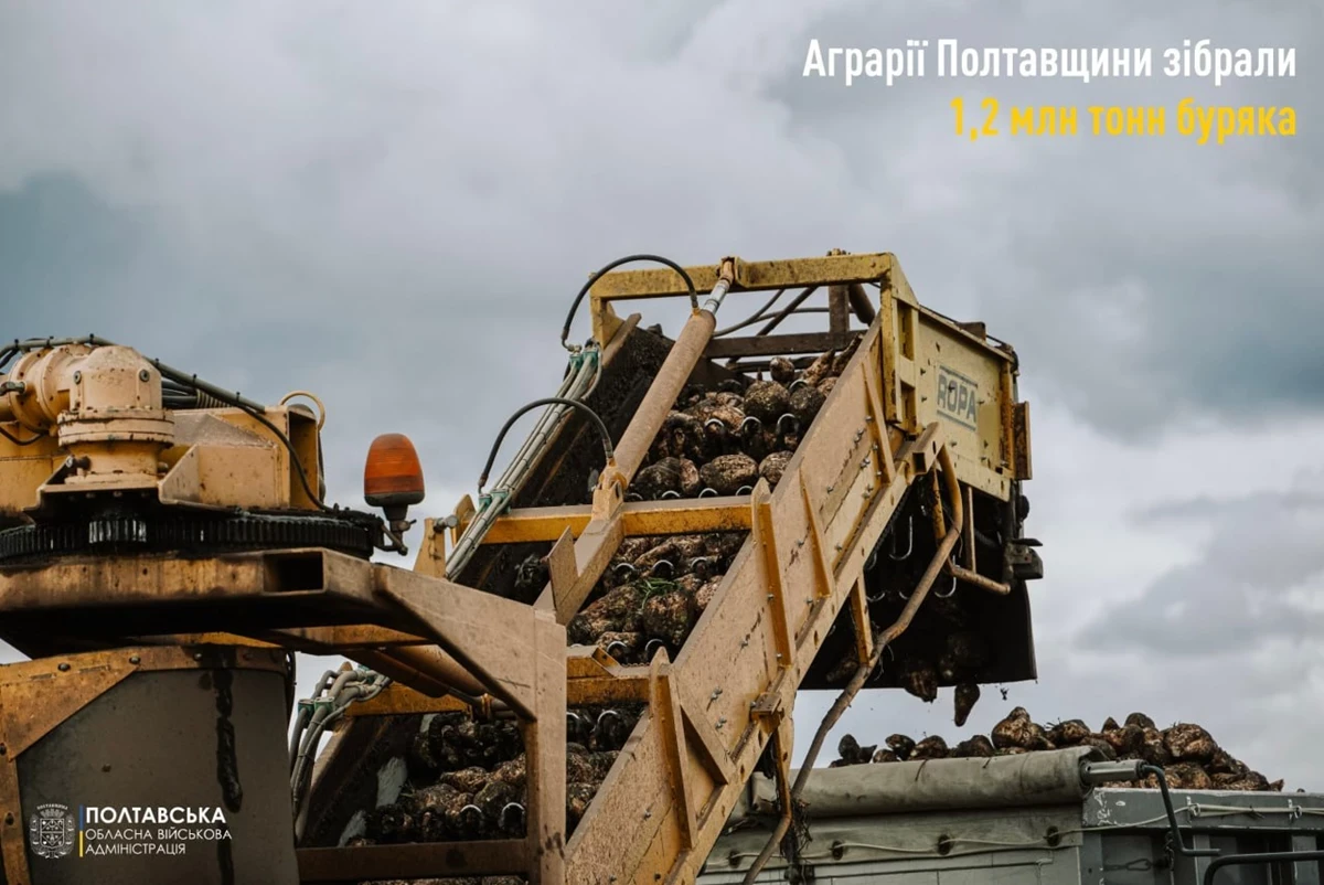 Полтавські поля закрили сезон буряків із мільйонним результатом