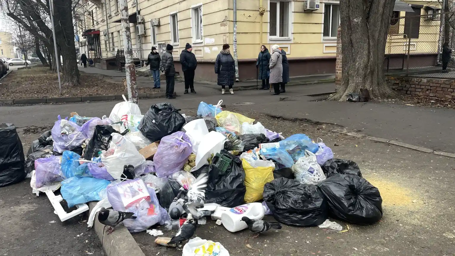 Сміття повертається за години: на вулиці УПА в Полтаві проблему не вдається зупинити