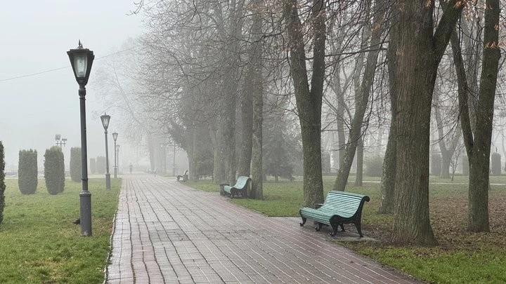 Хмарно без опадів і з туманом: якою буде п’ятниця на Полтавщині