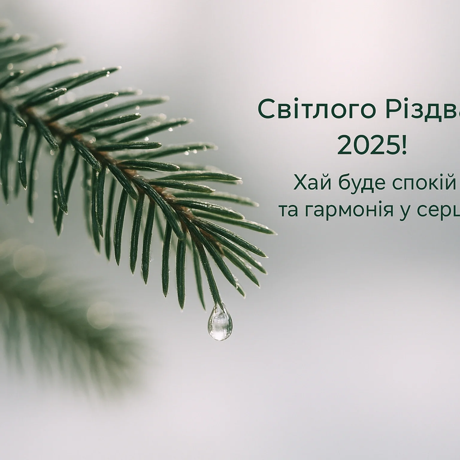 Привітання з різдвом 2025