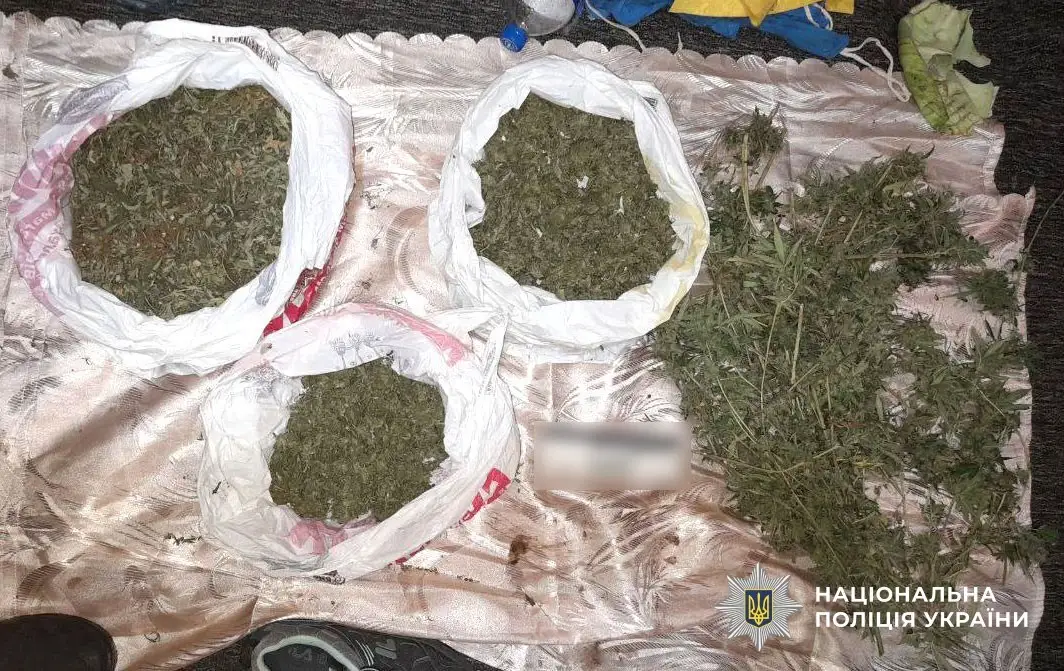 Обшук у Лубнах: чоловіку оголосили підозру за зберігання наркотиків у великих розмірах