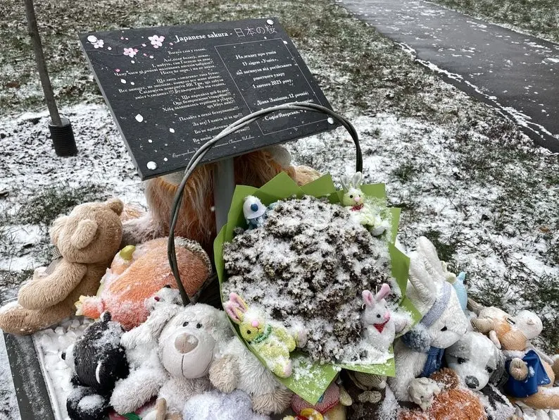 Рік потому: будинок на Баленка у Полтаві й досі стоїть напівзруйнований