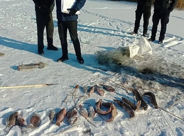 У центрі Полтави з’явиться живий ланцюг єдності до Дня Соборності