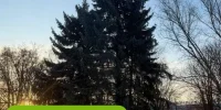 Полтавщина готується до січневих морозів і ожеледиці