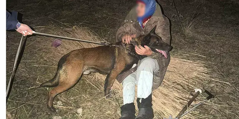 Джек іде по сліду: на Кременчуччині службовий пес врятував 90-річну жінку