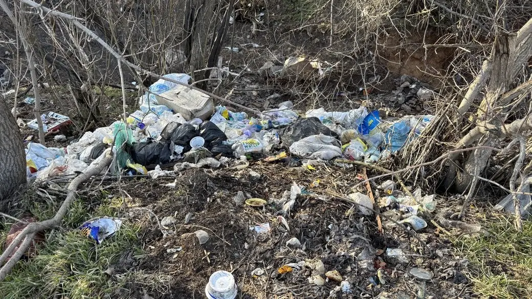 Цивілізований збір сміття: як Градизькій громаді вдалося подолати стихійні звалища
