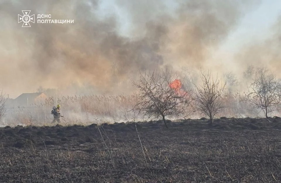 Пожежна ситуація на Полтавщині: за добу вогонь знищив понад 6 гектарів екосистем
