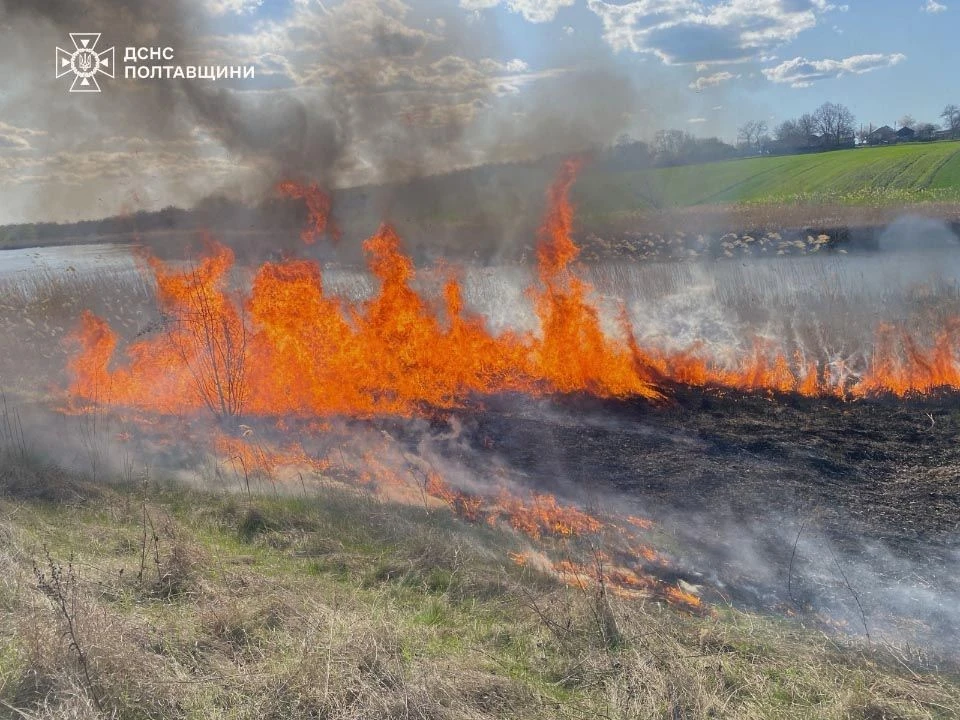 Пожежна ситуація на Полтавщині: за добу вогонь знищив понад 6 гектарів екосистем