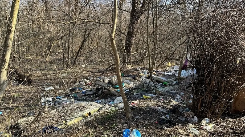 Сміття повертається: у Прирічковому парку Полтави знову з’явилось звалище після прибирання