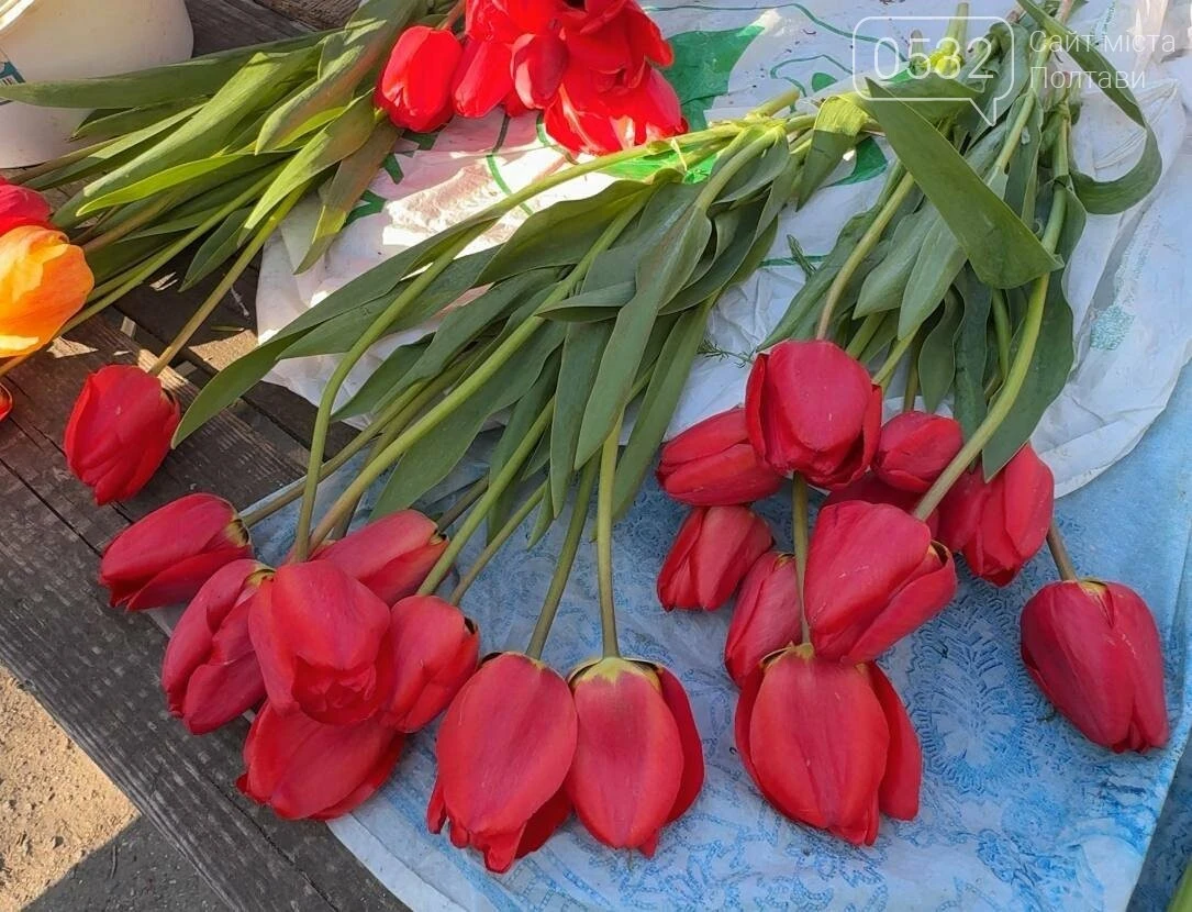 Травневий асортимент Хитрого ринку в Полтаві: що та за скільки купують містяни