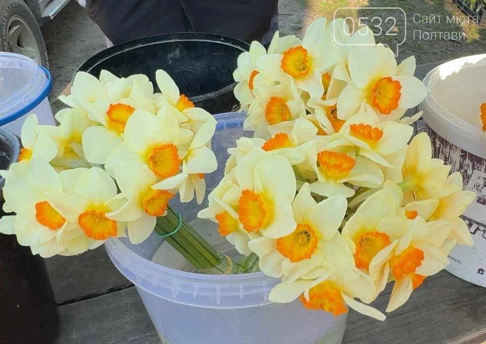 Травневий асортимент Хитрого ринку в Полтаві: що та за скільки купують містяни