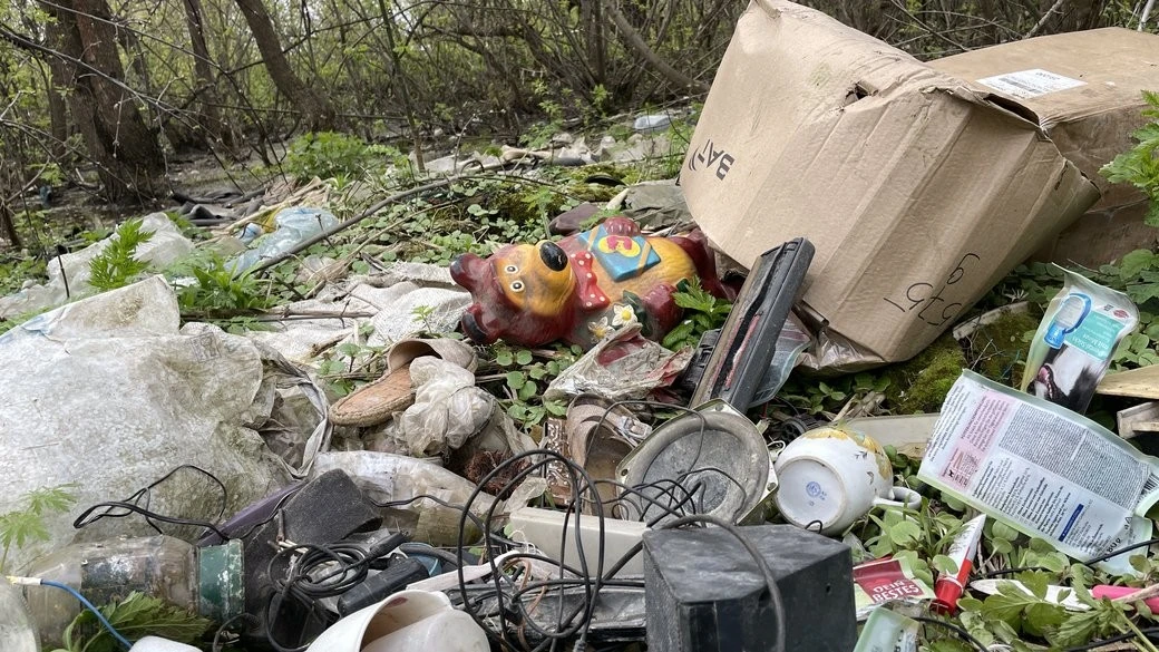 Майже кілометр бруду: чому межа полтавських мікрорайонів потопає в стихійному звалищі
