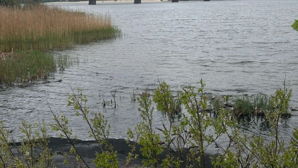 Екологічна загроза на Полтавщині: після масованого авіаудару у водосховищі виявили хімічну пляму