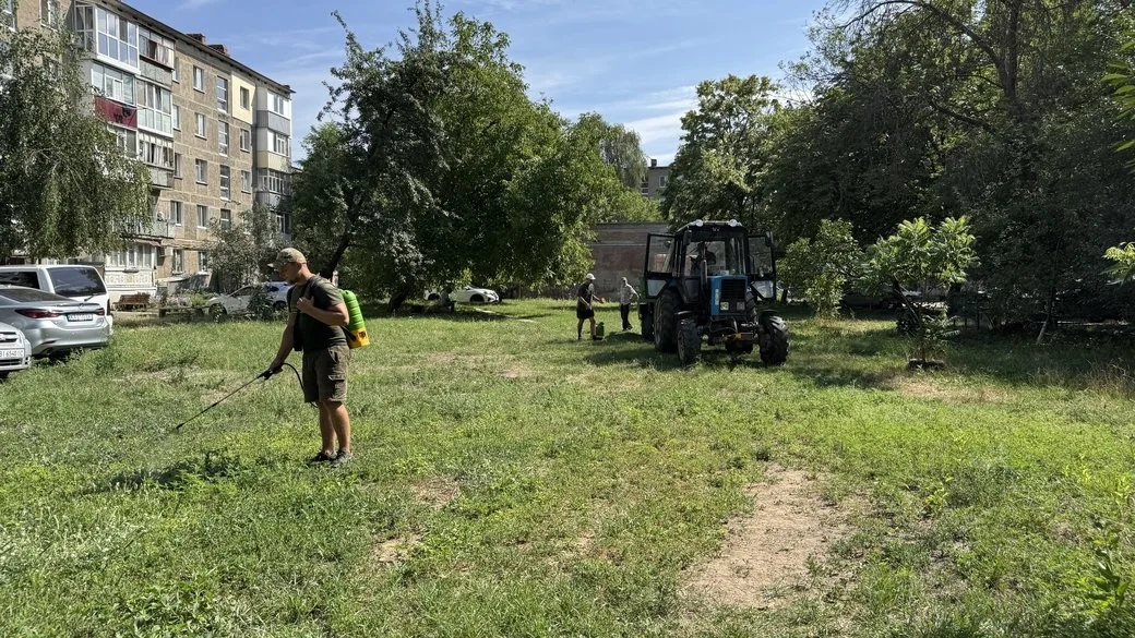 Каратимуть гривнею: за бур’яни на приватних ділянках полтавцям загрожують великі штрафи