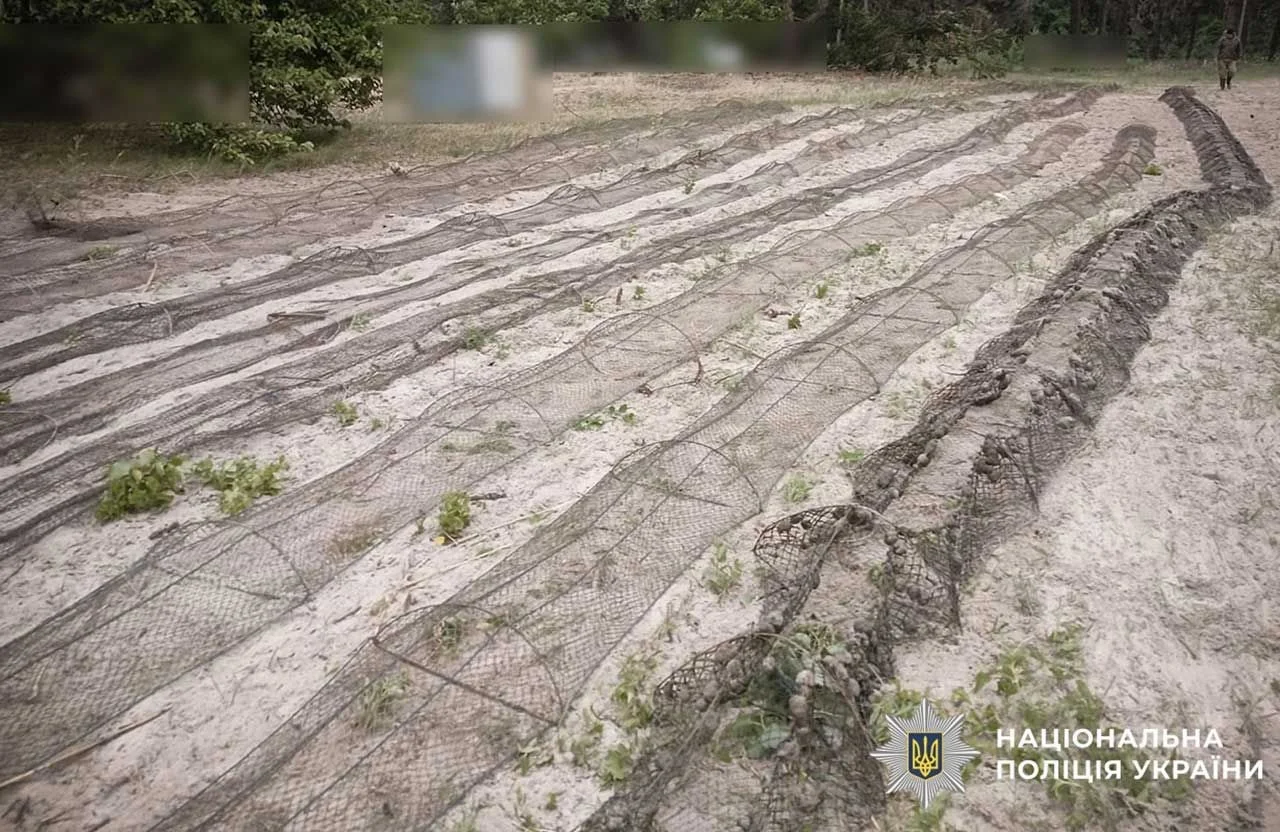 Річковий рейд на Сулі: поліція знищила сотні метрів браконьєрських пасток