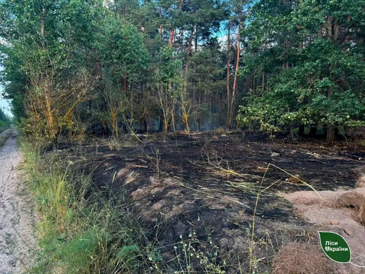Рятувальники та лісівники запобігли масштабній пожежі на Полтавщині