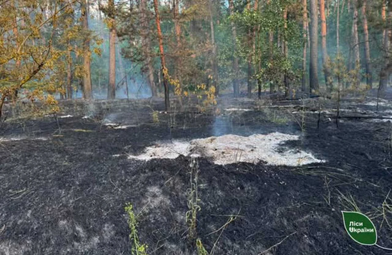 Рятувальники та лісівники запобігли масштабній пожежі на Полтавщині